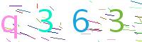 Verify Code