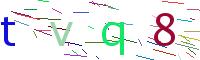 Verify Code