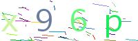 Verify Code