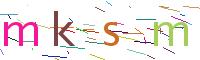 Verify Code