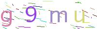 Verify Code